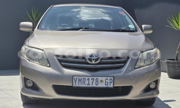 Buy Used Toyota Corolla Other Car in Maseru in Maseru