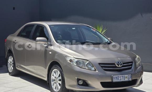 Buy Used Toyota Corolla Other Car in Maseru in Maseru Buy Used Toyota Corolla Other Car in Maseru in Maseru