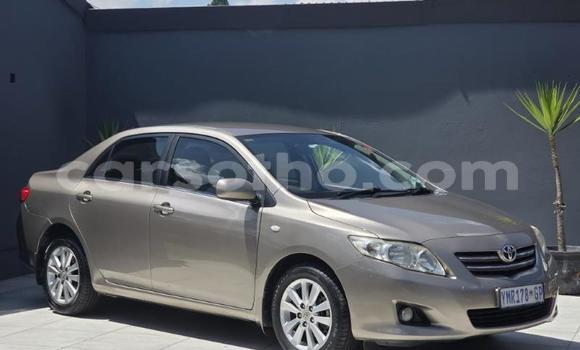 Buy Used Toyota Corolla Other Car in Maseru in Maseru Buy Used Toyota Corolla Other Car in Maseru in Maseru