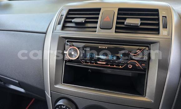 Buy Used Toyota Corolla Other Car in Maseru in Maseru Buy Used Toyota Corolla Other Car in Maseru in Maseru