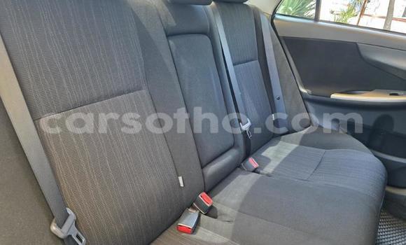 Buy Used Toyota Corolla Other Car in Maseru in Maseru Buy Used Toyota Corolla Other Car in Maseru in Maseru