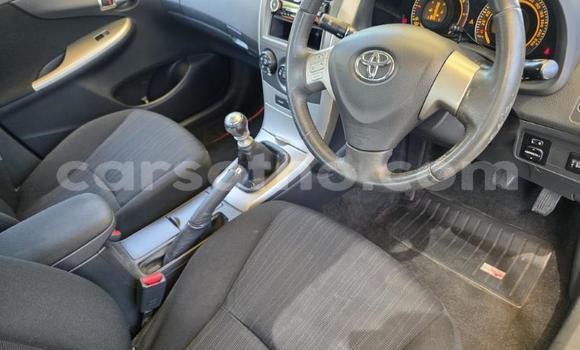 Buy Used Toyota Corolla Other Car in Maseru in Maseru Buy Used Toyota Corolla Other Car in Maseru in Maseru