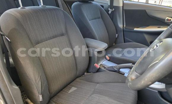 Buy Used Toyota Corolla Other Car in Maseru in Maseru Buy Used Toyota Corolla Other Car in Maseru in Maseru