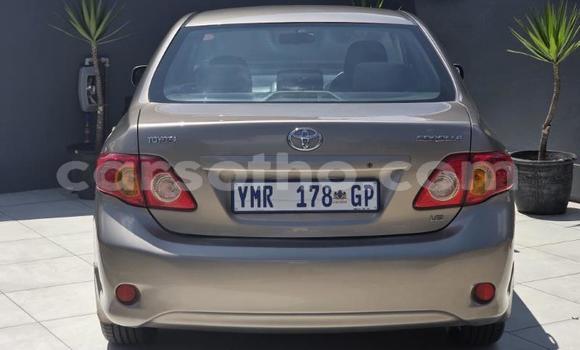Buy Used Toyota Corolla Other Car in Maseru in Maseru Buy Used Toyota Corolla Other Car in Maseru in Maseru