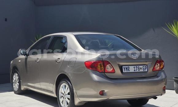 Buy Used Toyota Corolla Other Car in Maseru in Maseru Buy Used Toyota Corolla Other Car in Maseru in Maseru
