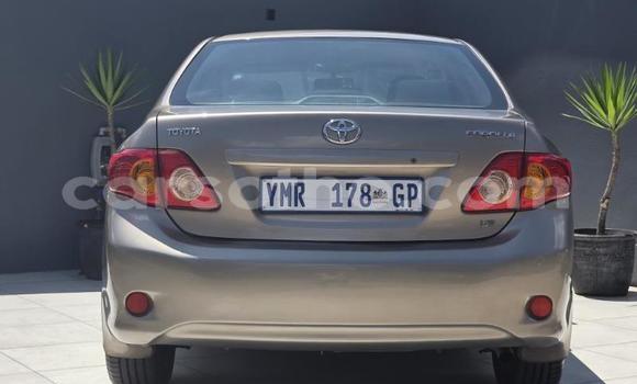 Buy Used Toyota Corolla Other Car in Maseru in Maseru Buy Used Toyota Corolla Other Car in Maseru in Maseru