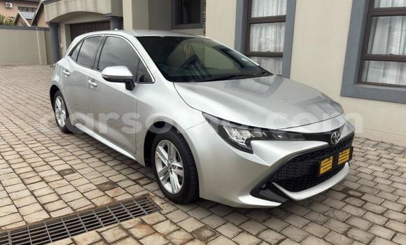 Buy Used Toyota Corolla Silver Car in Maseru in Maseru