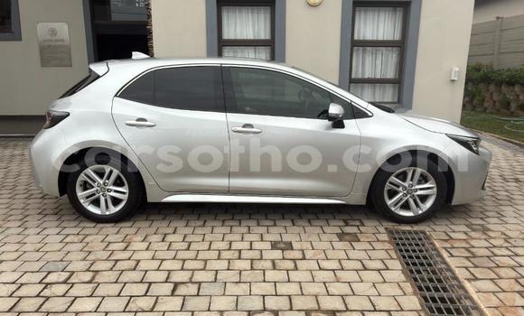 Buy Used Toyota Corolla Silver Car in Maseru in Maseru Buy Used Toyota Corolla Silver Car in Maseru in Maseru