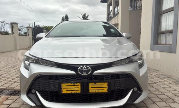 Buy Used Toyota Corolla Silver Car in Maseru in Maseru Buy Used Toyota Corolla Silver Car in Maseru in Maseru
