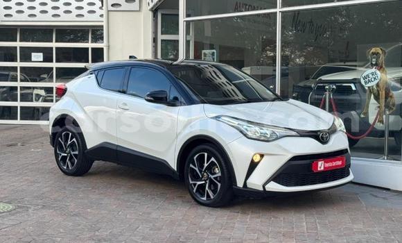 Buy Used Toyota C-HR White Car in Maseru in Maseru