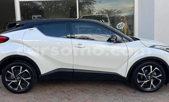 Buy Used Toyota C-HR White Car in Maseru in Maseru Buy Used Toyota C-HR White Car in Maseru in Maseru