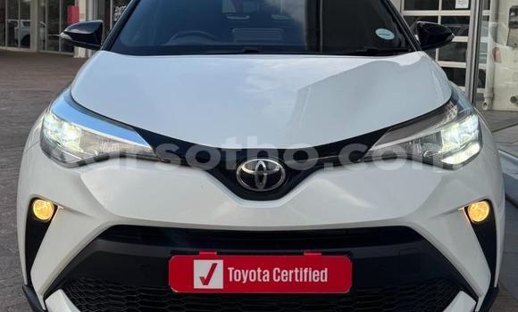 Buy Used Toyota C-HR White Car in Maseru in Maseru Buy Used Toyota C-HR White Car in Maseru in Maseru