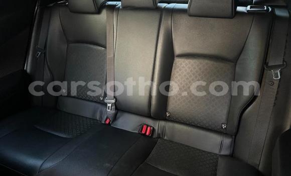 Buy Used Toyota C-HR White Car in Maseru in Maseru Buy Used Toyota C-HR White Car in Maseru in Maseru