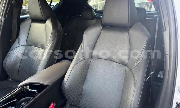 Buy Used Toyota C-HR White Car in Maseru in Maseru Buy Used Toyota C-HR White Car in Maseru in Maseru