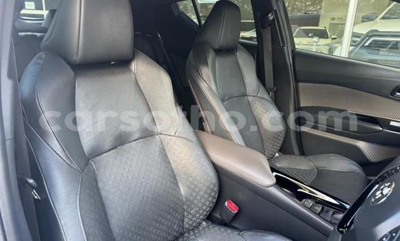 Buy Used Toyota C-HR White Car in Maseru in Maseru Buy Used Toyota C-HR White Car in Maseru in Maseru