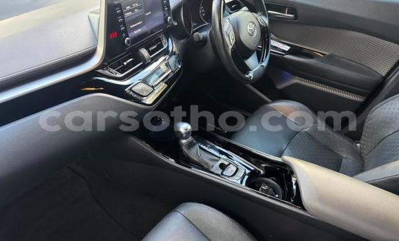 Buy Used Toyota C-HR White Car in Maseru in Maseru Buy Used Toyota C-HR White Car in Maseru in Maseru