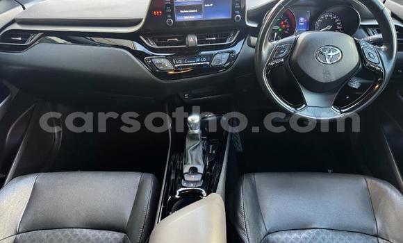 Buy Used Toyota C-HR White Car in Maseru in Maseru Buy Used Toyota C-HR White Car in Maseru in Maseru