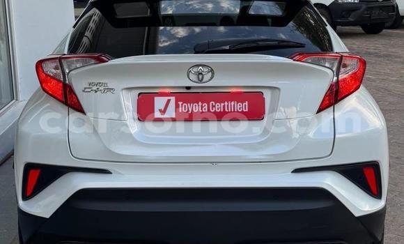 Buy Used Toyota C-HR White Car in Maseru in Maseru Buy Used Toyota C-HR White Car in Maseru in Maseru