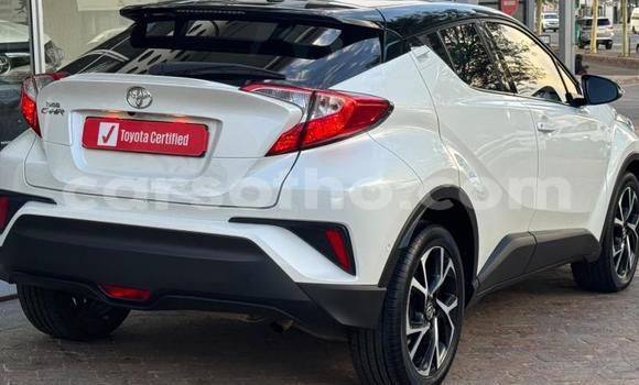 Buy Used Toyota C-HR White Car in Maseru in Maseru Buy Used Toyota C-HR White Car in Maseru in Maseru