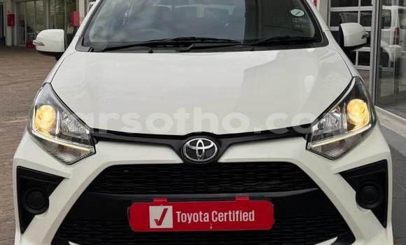 Buy Used Toyota Aygo White Car in Maseru in Maseru