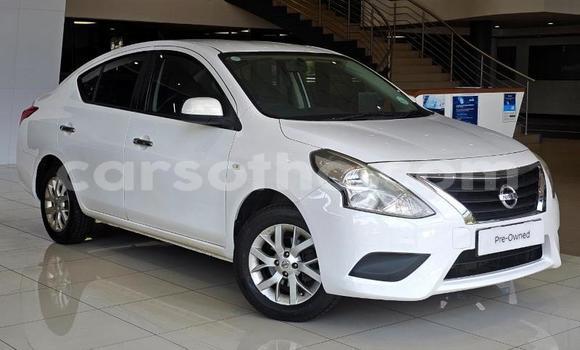 Buy Used Nissan Almera White Car in Maseru in Maseru