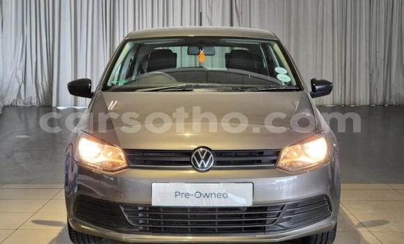 Buy Used Volkswagen Polo Other Car in Maseru in Maseru