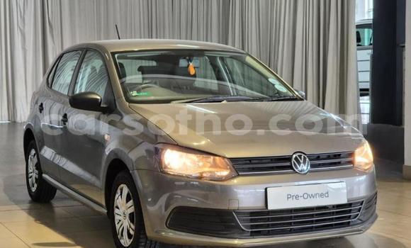 Buy Used Volkswagen Polo Other Car in Maseru in Maseru Buy Used Volkswagen Polo Other Car in Maseru in Maseru