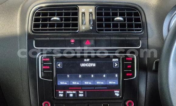 Buy Used Volkswagen Polo Other Car in Maseru in Maseru Buy Used Volkswagen Polo Other Car in Maseru in Maseru