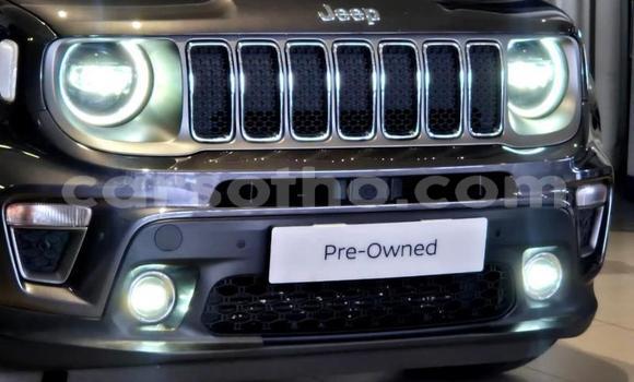 Buy Used Jeep Renegade Black Car in Maseru in Maseru Buy Used Jeep Renegade Black Car in Maseru in Maseru