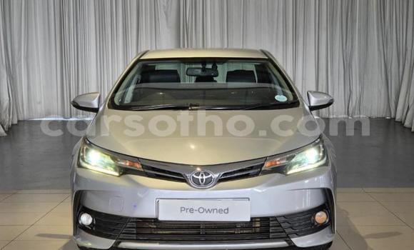 Buy Used Toyota Corolla Other Car in Maseru in Maseru