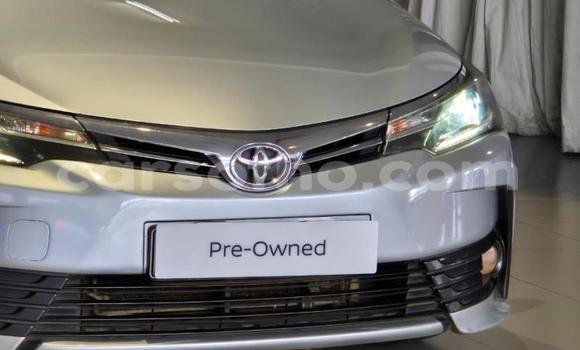 Buy Used Toyota Corolla Other Car in Maseru in Maseru Buy Used Toyota Corolla Other Car in Maseru in Maseru