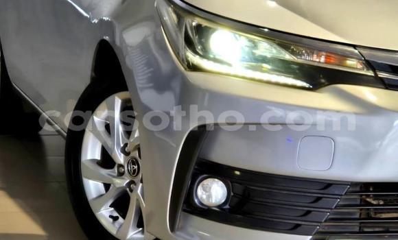 Buy Used Toyota Corolla Other Car in Maseru in Maseru Buy Used Toyota Corolla Other Car in Maseru in Maseru
