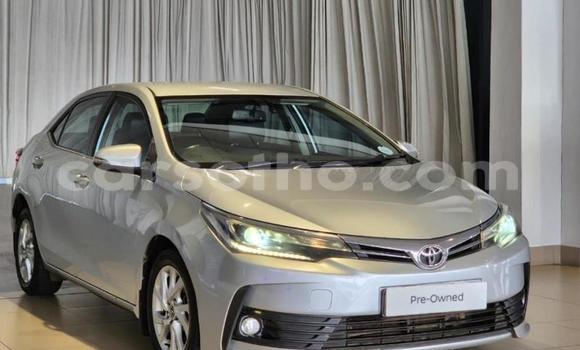 Buy Used Toyota Corolla Other Car in Maseru in Maseru Buy Used Toyota Corolla Other Car in Maseru in Maseru