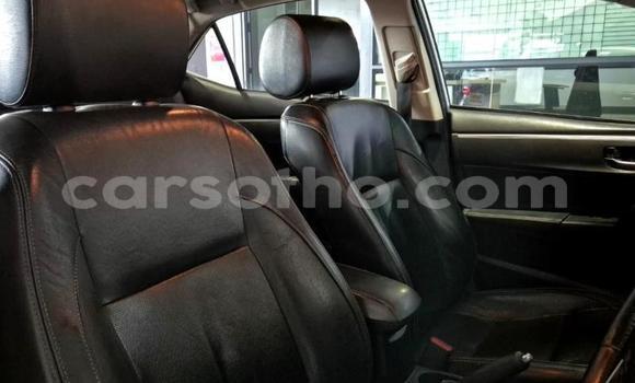 Buy Used Toyota Corolla Other Car in Maseru in Maseru Buy Used Toyota Corolla Other Car in Maseru in Maseru