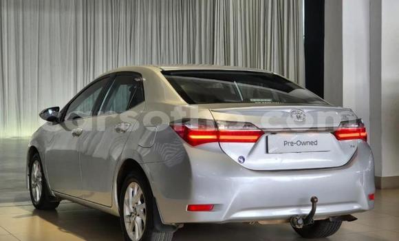 Buy Used Toyota Corolla Other Car in Maseru in Maseru Buy Used Toyota Corolla Other Car in Maseru in Maseru