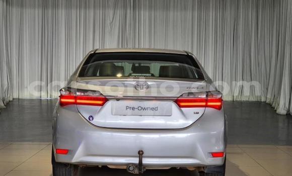Buy Used Toyota Corolla Other Car in Maseru in Maseru Buy Used Toyota Corolla Other Car in Maseru in Maseru