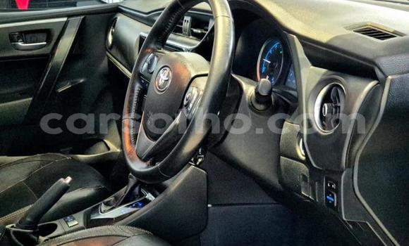 Buy Used Toyota Corolla Other Car in Maseru in Maseru Buy Used Toyota Corolla Other Car in Maseru in Maseru