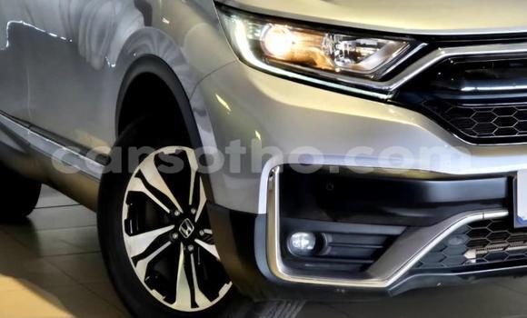 Buy Used Honda CR–V Silver Car in Maseru in Maseru Buy Used Honda CR–V Silver Car in Maseru in Maseru