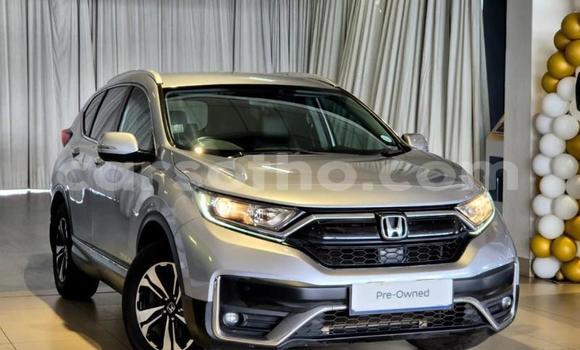 Buy Used Honda CR–V Silver Car in Maseru in Maseru Buy Used Honda CR–V Silver Car in Maseru in Maseru