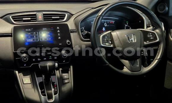 Buy Used Honda CR–V Silver Car in Maseru in Maseru Buy Used Honda CR–V Silver Car in Maseru in Maseru