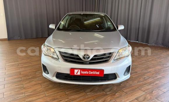 Buy Used Toyota Corolla Silver Car in Maseru in Maseru Buy Used Toyota Corolla Silver Car in Maseru in Maseru