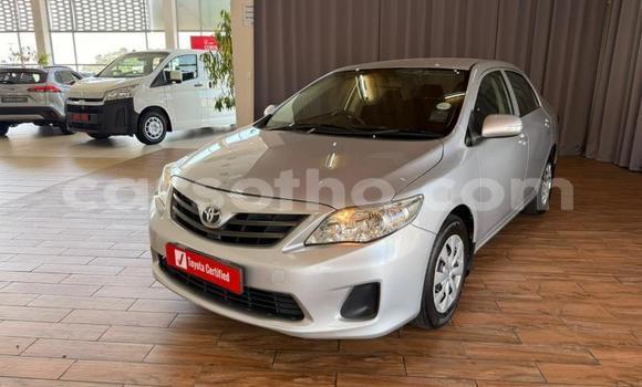 Buy Used Toyota Corolla Silver Car in Maseru in Maseru Buy Used Toyota Corolla Silver Car in Maseru in Maseru
