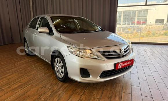 Buy Used Toyota Corolla Silver Car in Maseru in Maseru Buy Used Toyota Corolla Silver Car in Maseru in Maseru