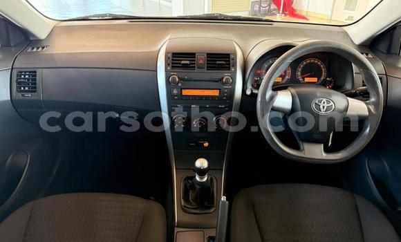 Buy Used Toyota Corolla Silver Car in Maseru in Maseru Buy Used Toyota Corolla Silver Car in Maseru in Maseru