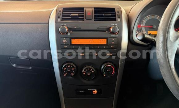 Buy Used Toyota Corolla Silver Car in Maseru in Maseru Buy Used Toyota Corolla Silver Car in Maseru in Maseru