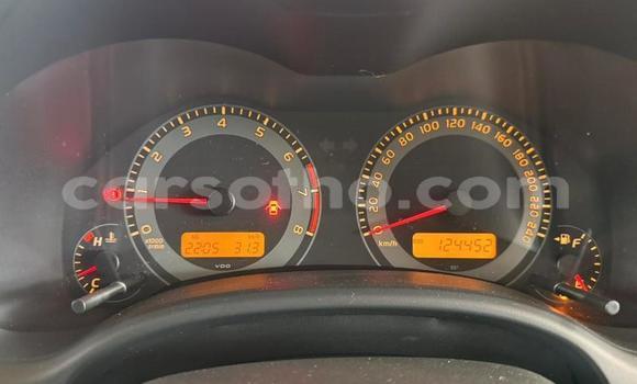 Buy Used Toyota Corolla Silver Car in Maseru in Maseru Buy Used Toyota Corolla Silver Car in Maseru in Maseru