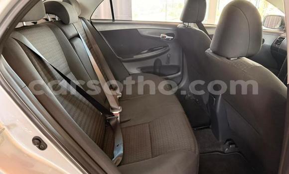 Buy Used Toyota Corolla Silver Car in Maseru in Maseru Buy Used Toyota Corolla Silver Car in Maseru in Maseru