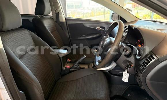 Buy Used Toyota Corolla Silver Car in Maseru in Maseru Buy Used Toyota Corolla Silver Car in Maseru in Maseru
