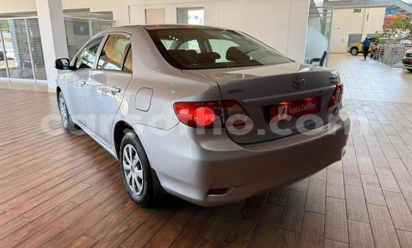 Buy Used Toyota Corolla Silver Car in Maseru in Maseru Buy Used Toyota Corolla Silver Car in Maseru in Maseru