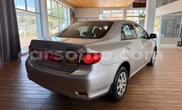 Buy Used Toyota Corolla Silver Car in Maseru in Maseru Buy Used Toyota Corolla Silver Car in Maseru in Maseru